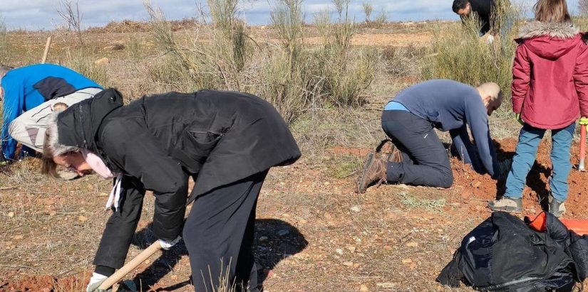 Personas voluntarias reforestando el campo en Madrid