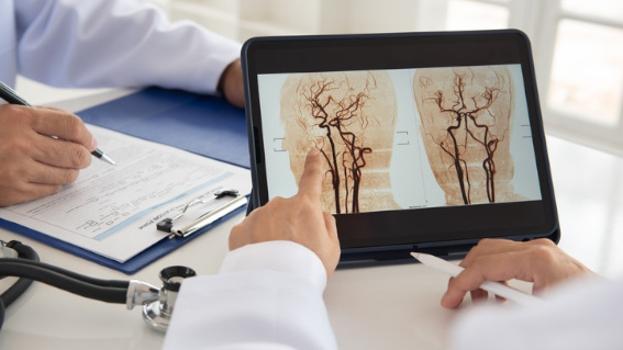 El Colegio organiza el webinar Guiar en daño cerebral, junto a la Fundación Freno al Ictus